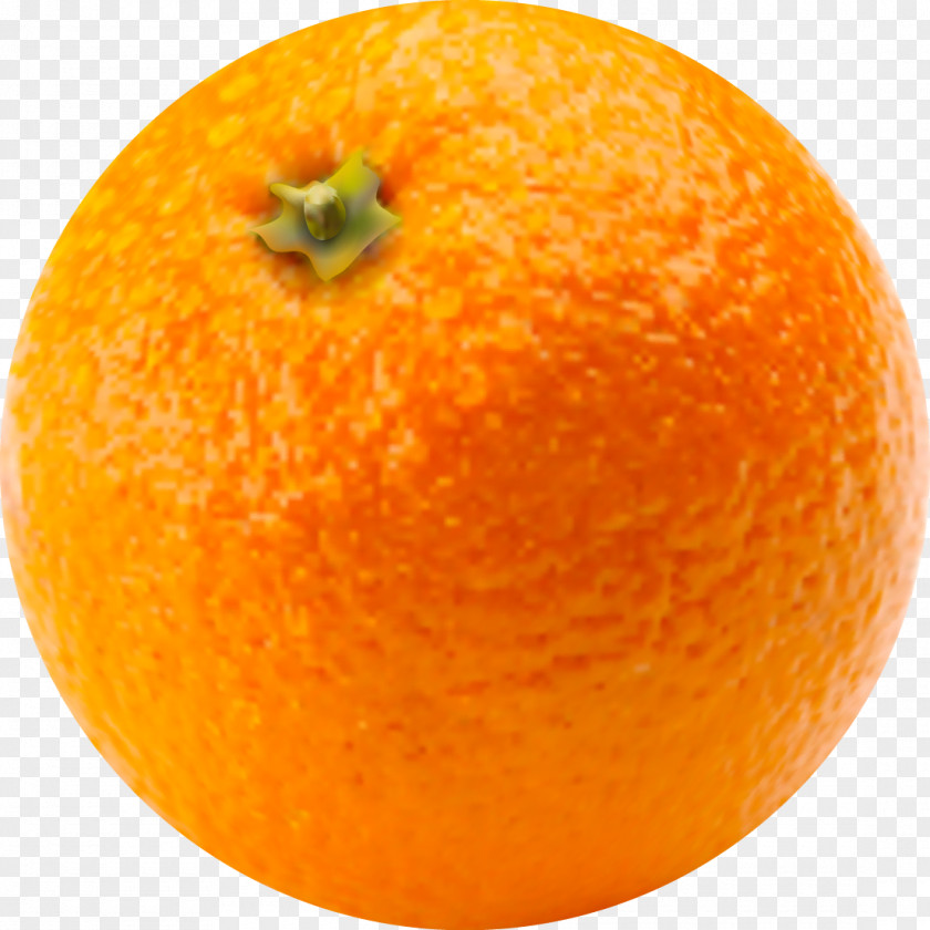 Vector Orange Clementine Blood Tangerine Mandarin Bitter PNG