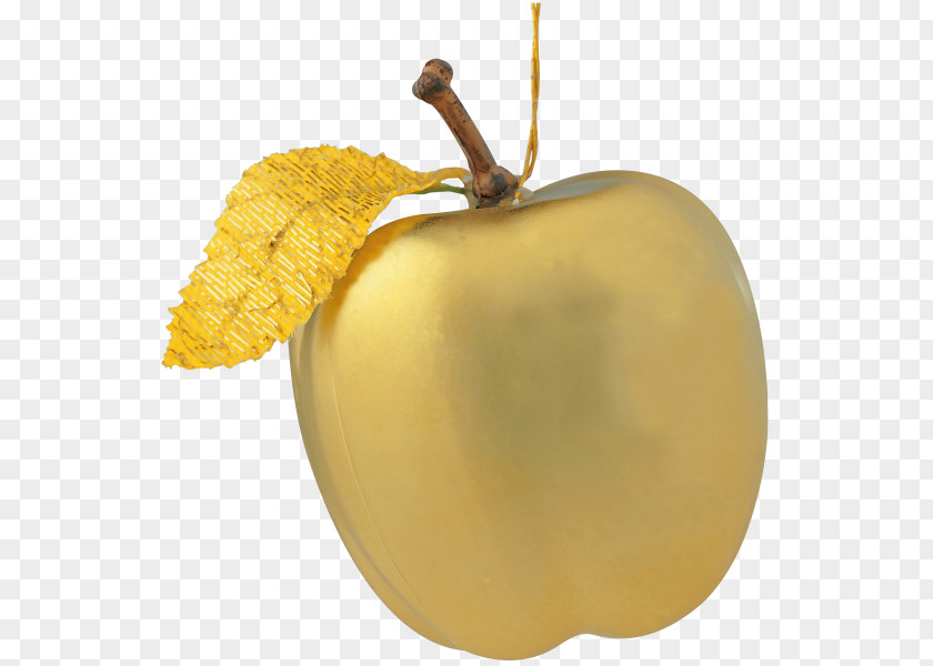 Apple Cupertino PNG