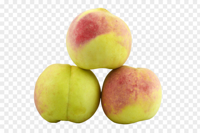 Peach,Peaches Peach Aviation Auglis Fruit PNG