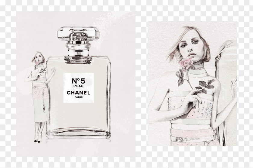 Perfume Chanel No. 5 L'Eau By Illustration Drawing PNG