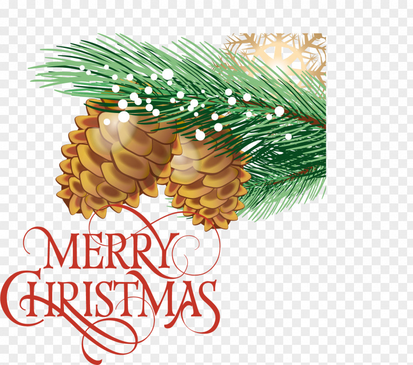 Shiny Christmas Background Pine Nuts PNG
