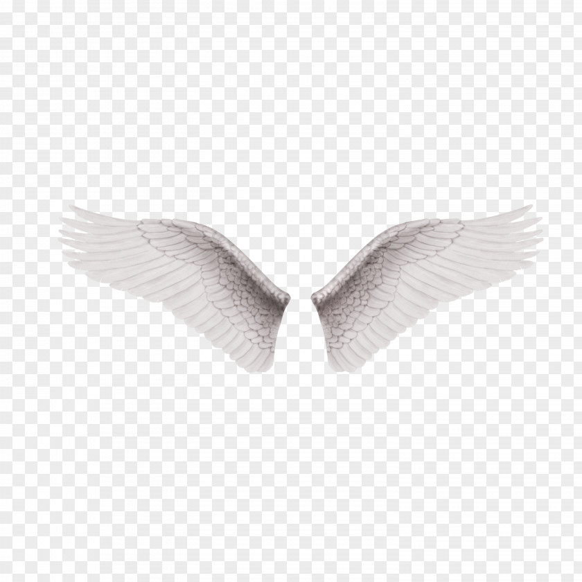 Vector Wings Black And White Wing Clip Art PNG