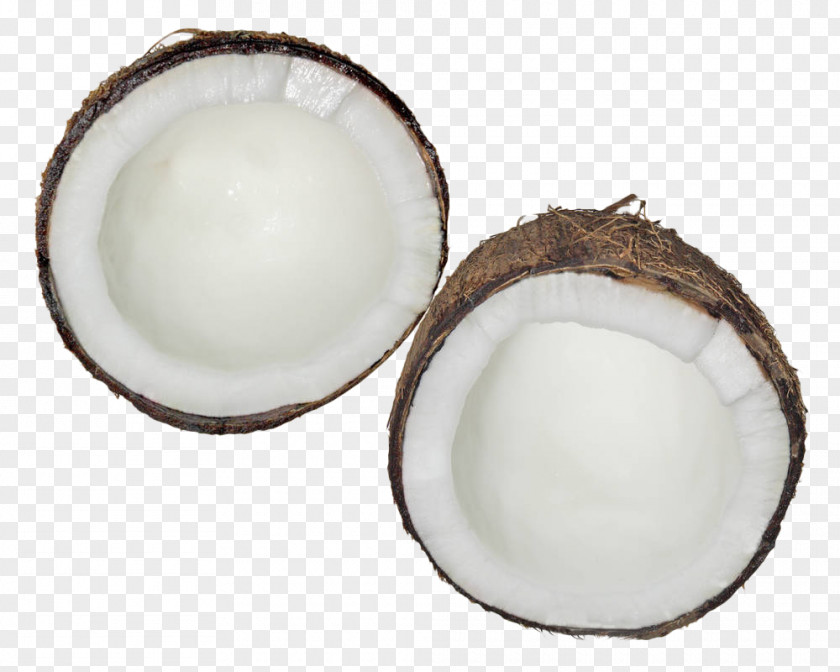 White Coconut Meat Nata De Coco PNG