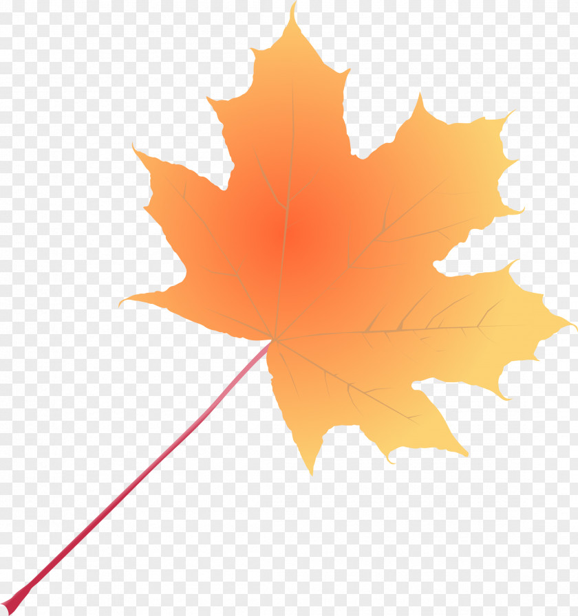 Antumn Leaves Gradient Color Maple Leaf Desktop Wallpaper Clip Art PNG