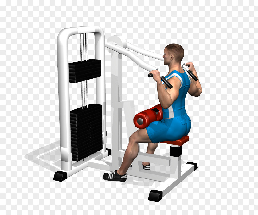 Dumbbell Pulldown Exercise Shoulder Fitness Centre Human Back Latissimus Dorsi Muscle PNG
