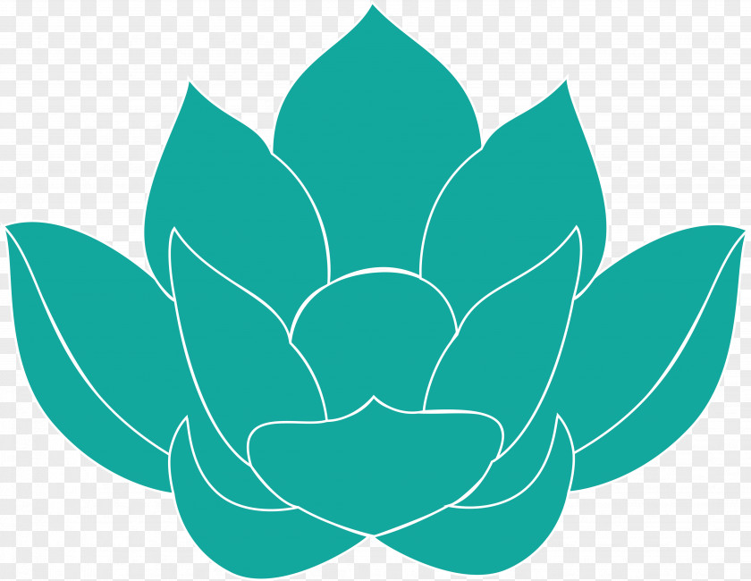 Sleeping Lotus Free Download Symmetry Clip Art PNG