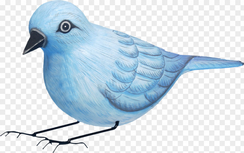 Creative Hand-painted Blue Sparrow Songbird Western Bluebird Nest Box PNG