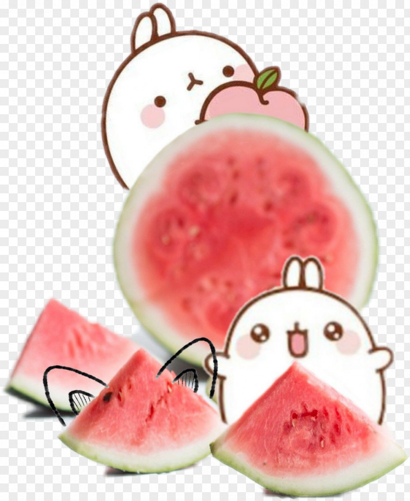 Watermelon Summer Arcata Cola PNG