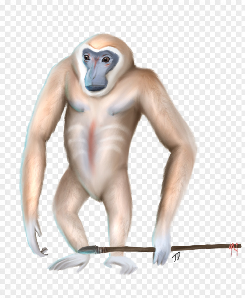 Gibbon Ape Human Planet Of The Apes Monkey Art PNG