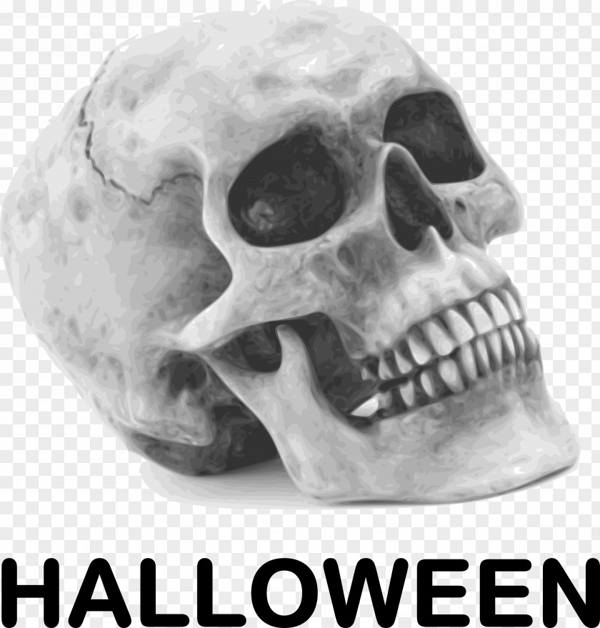 Skull Calavera Halloween Human Skeleton Clip Art PNG