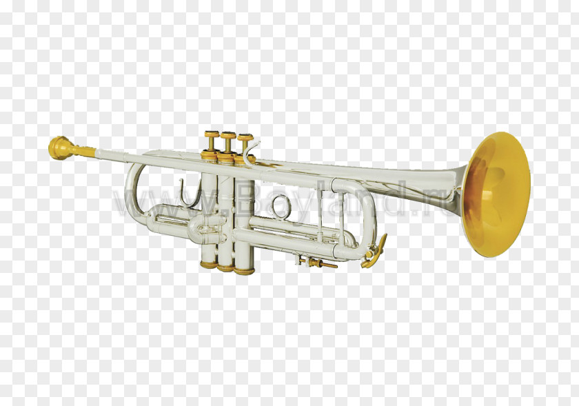 Trumpet Cornet Mellophone Brass Instruments Musical PNG