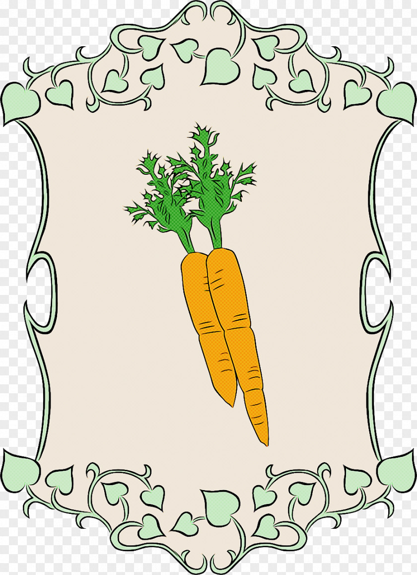 Vegetable Carrot Plant Root Leaf PNG
