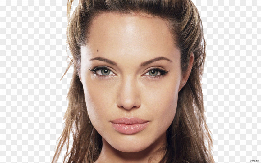 Angelina Jolie Lara Croft: Tomb Raider Hollywood Actor Image PNG