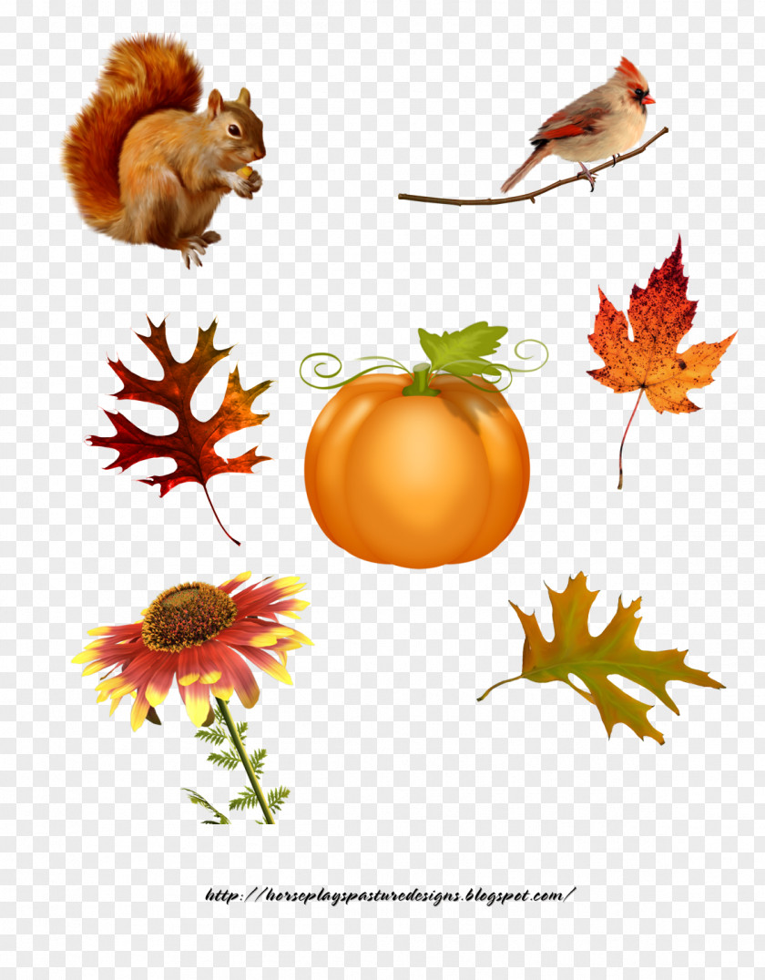 Autumn Collage Paper Craft Art PNG