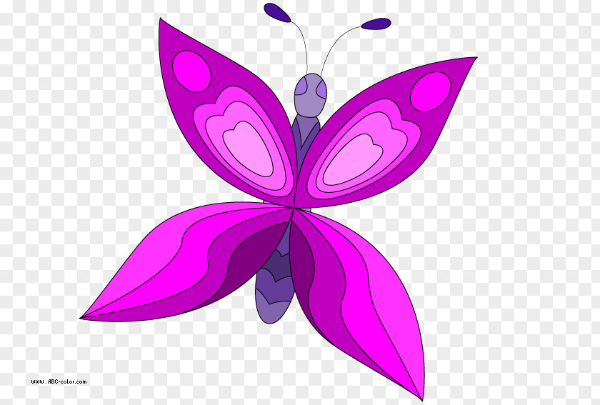 Butterfly Drawing Raster Graphics Bitmap Clip Art PNG