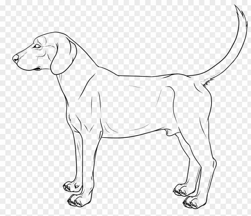 Line Drawing German Shepherd Boxer Puppy Art PNG