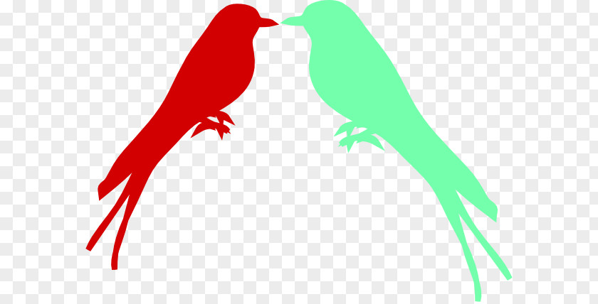 Parrot Macaw Beak Clip Art PNG