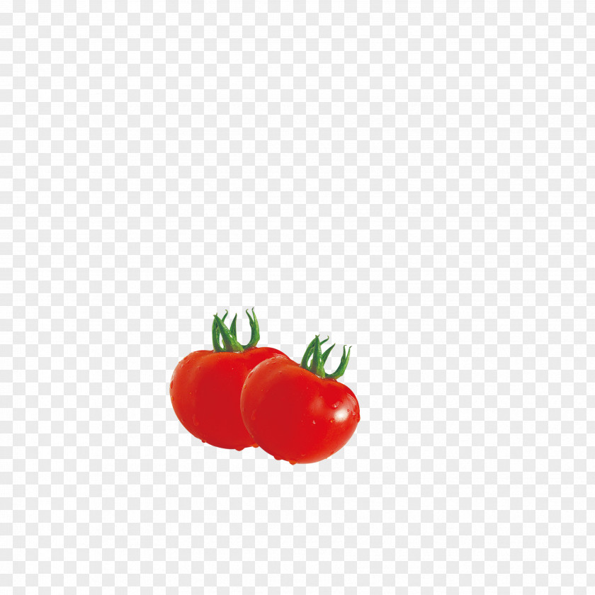 Red Tomato Vegetable PNG