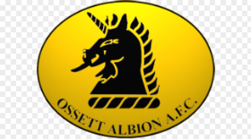 Football Ossett Albion A.F.C. Scarborough Athletic F.C. European Rugby Champions Cup United PNG