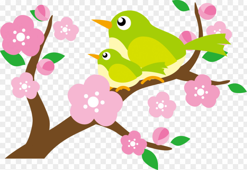 Illustration Of Beautiful Plum Blossoms And Bunny PNG