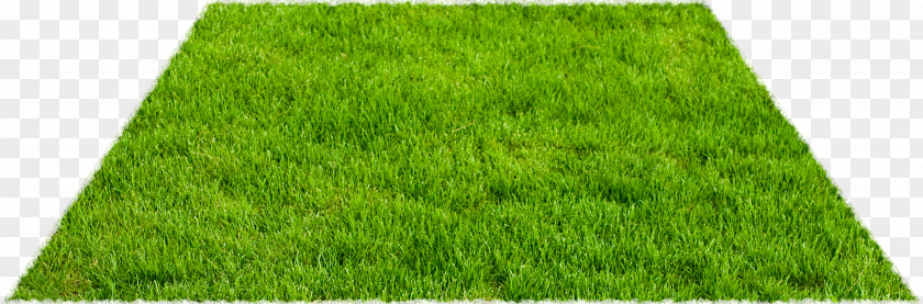 JARDIN Artificial Turf Lawn Fodder Yard PNG