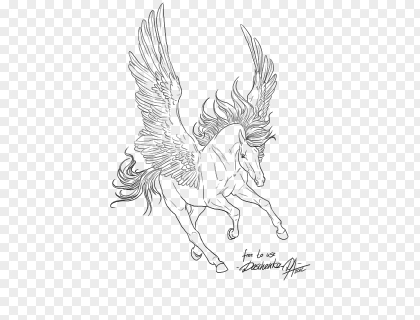 Pegasus Line Art Drawing Horse PNG