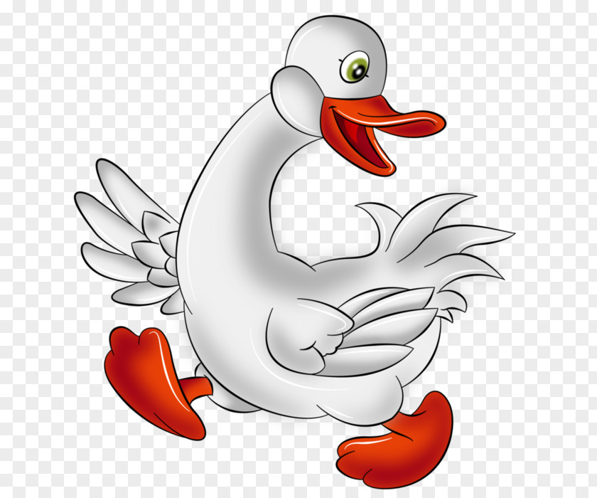 Goose Cartoon Drawing Clip Art PNG