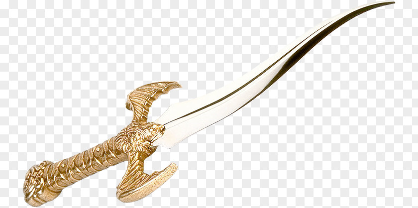 Jewellery Sabre Reptile Body Sword PNG