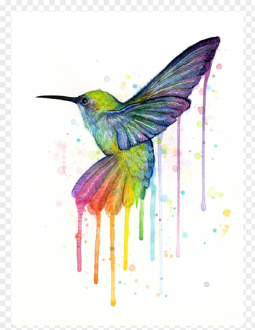 Painting Hummingbird Printmaking Art Watercolor Canvas Print PNG