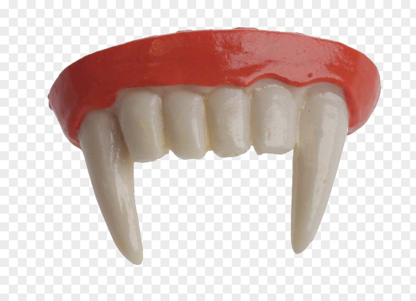 Plastic Fangs Teeth Vampire Fang Tooth Pathology Dentures PNG