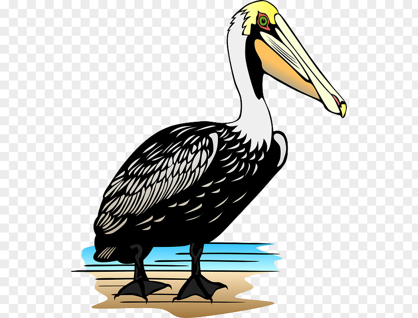 Cartoon Milk Pail Pelican Clip Art PNG