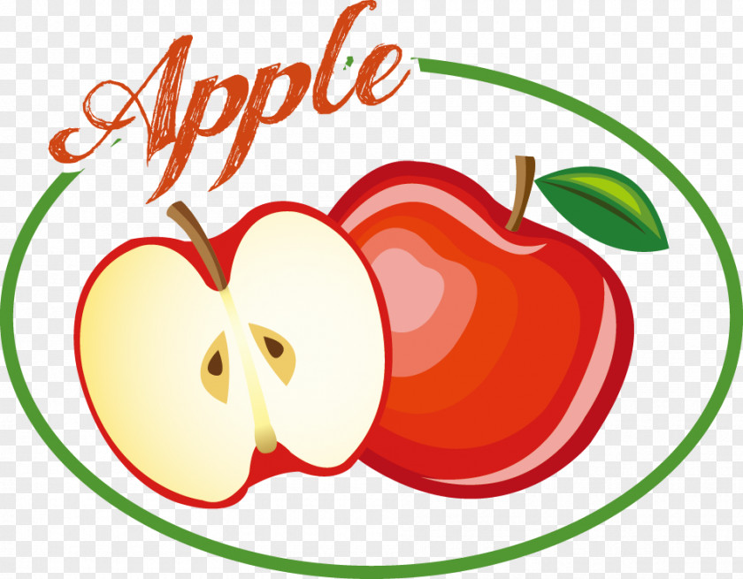 Fruit Labels Vector MaterialApple Apple Flat Design PNG