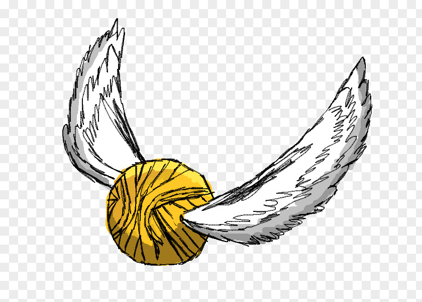Goblet Vector Harry Potter Quidditch Hogwarts Drawing Clip Art PNG