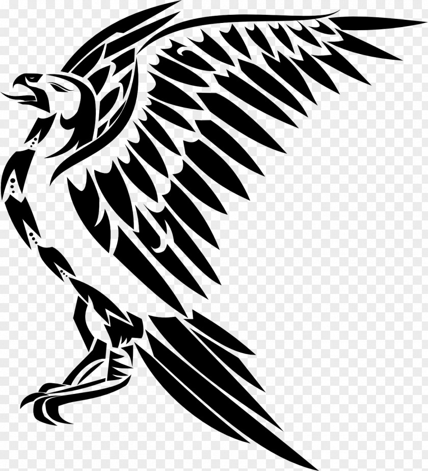 Hawk Black And White Drawing Tattoo Clip Art PNG