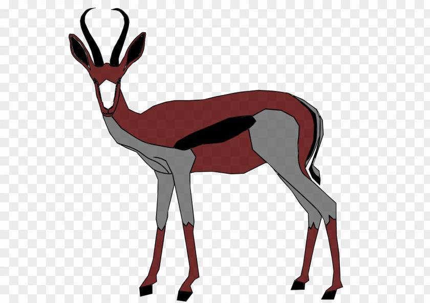 Antelope Springbok Gazelle Impala Clip Art PNG