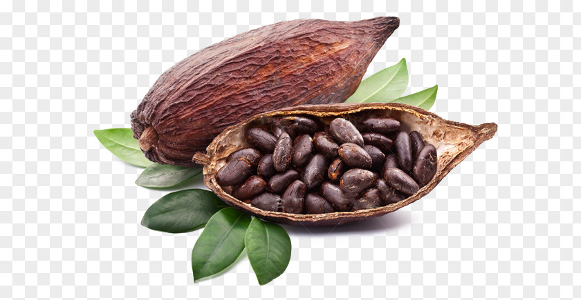 Chocolate Bar Cocoa Bean Solids Liquor PNG