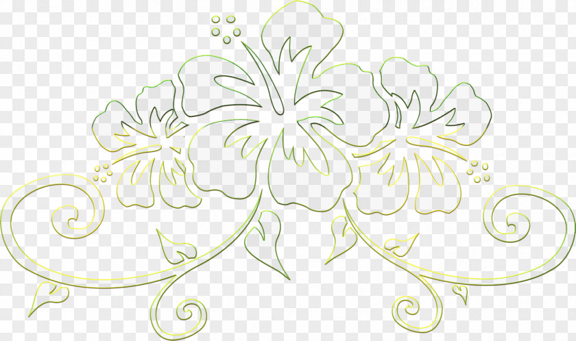 Delicate Floral Design Visual Arts Drawing PNG