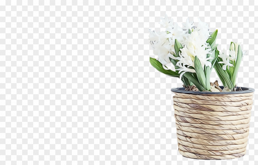 Flower Flowerpot White Plant Cut Flowers PNG