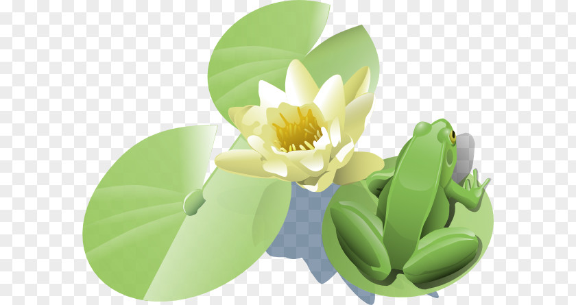 Frog On Lily Pad Tattoo Water Lilies Clip Art PNG