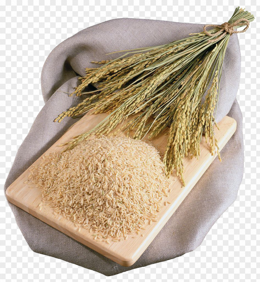 Rice Brown Oryza Sativa Food PNG