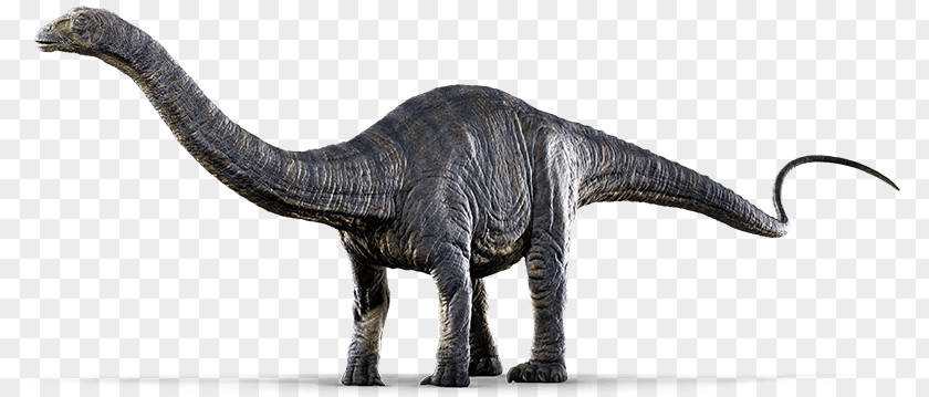 Jurassic Park Transparent World Evolution Apatosaurus Pachycephalosaurus Dinosaur PNG