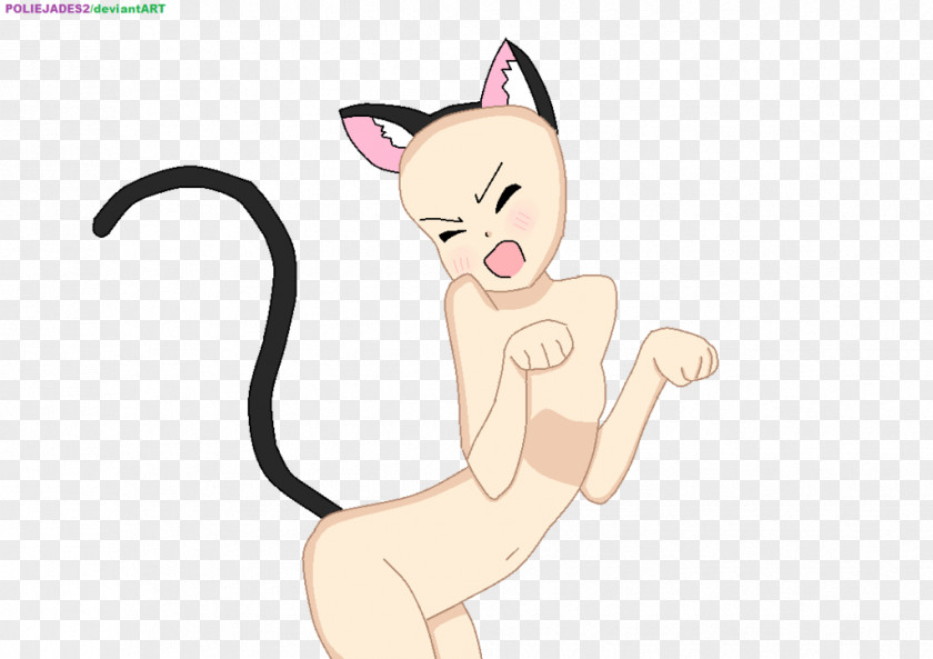 Kitten Whiskers Cat Drawing Meow PNG