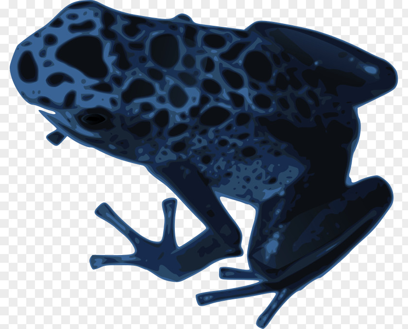Newt Clipart Blue Poison Dart Frog Clip Art PNG