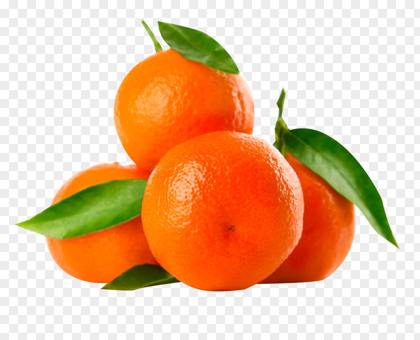 Orange Image Material Juice Clementine Pomelo Lemon PNG
