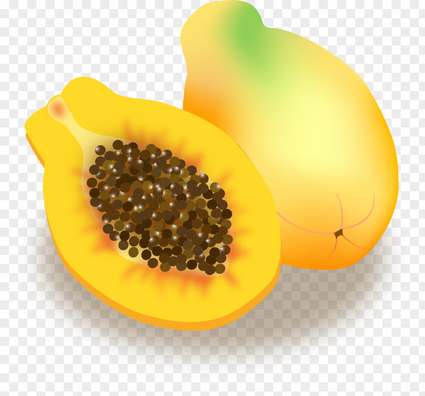 Papaya Tropical Fruit Food PNG