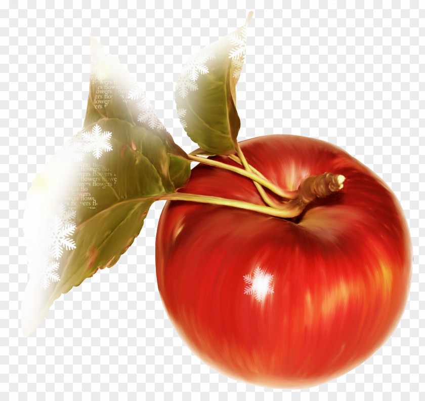 Red Apple Tomato Fruit Auglis Clip Art PNG