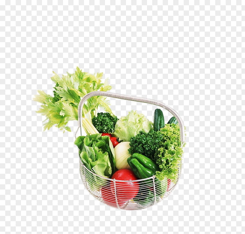 Vegetables Candide And Other Stories Vegetable Food Health Disease PNG