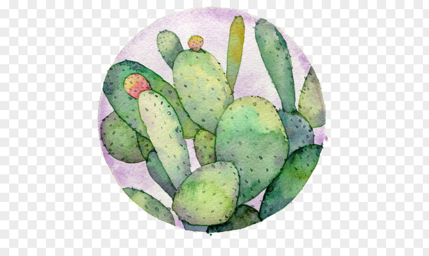 A Cactus Icon Watercolor: Flowers Watercolor Painting Drawing Cactaceae PNG