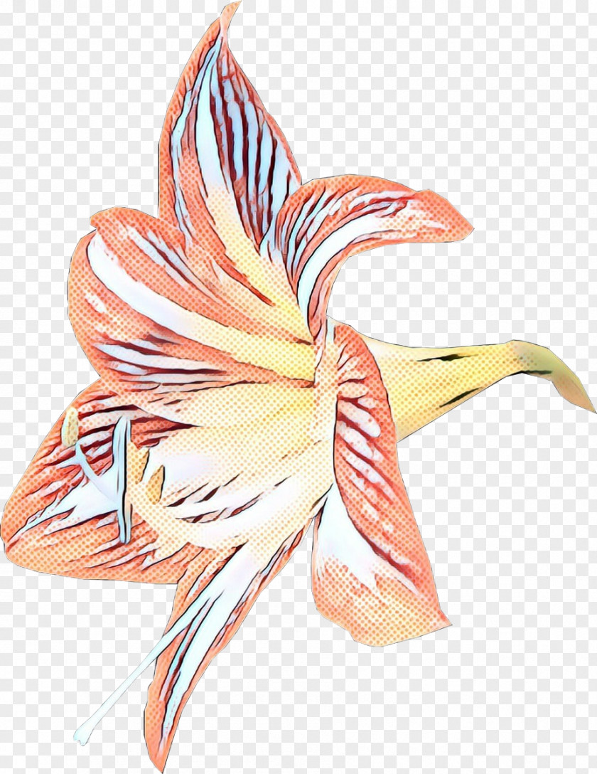 Amaryllis Family Crinum Flowers Background PNG
