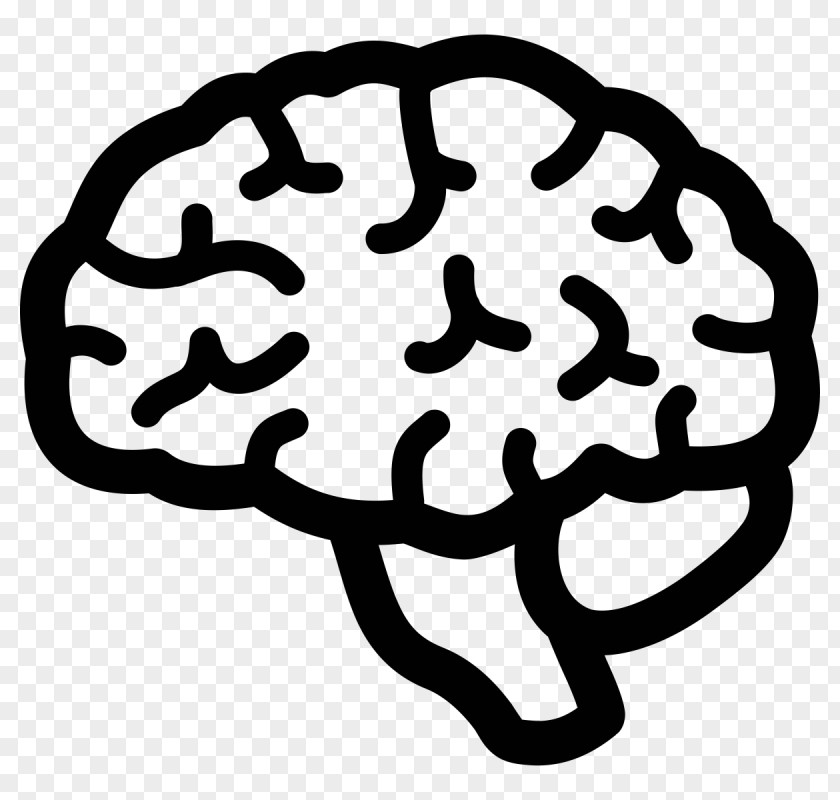 Brain Human Lateralization Of Function Clip Art PNG